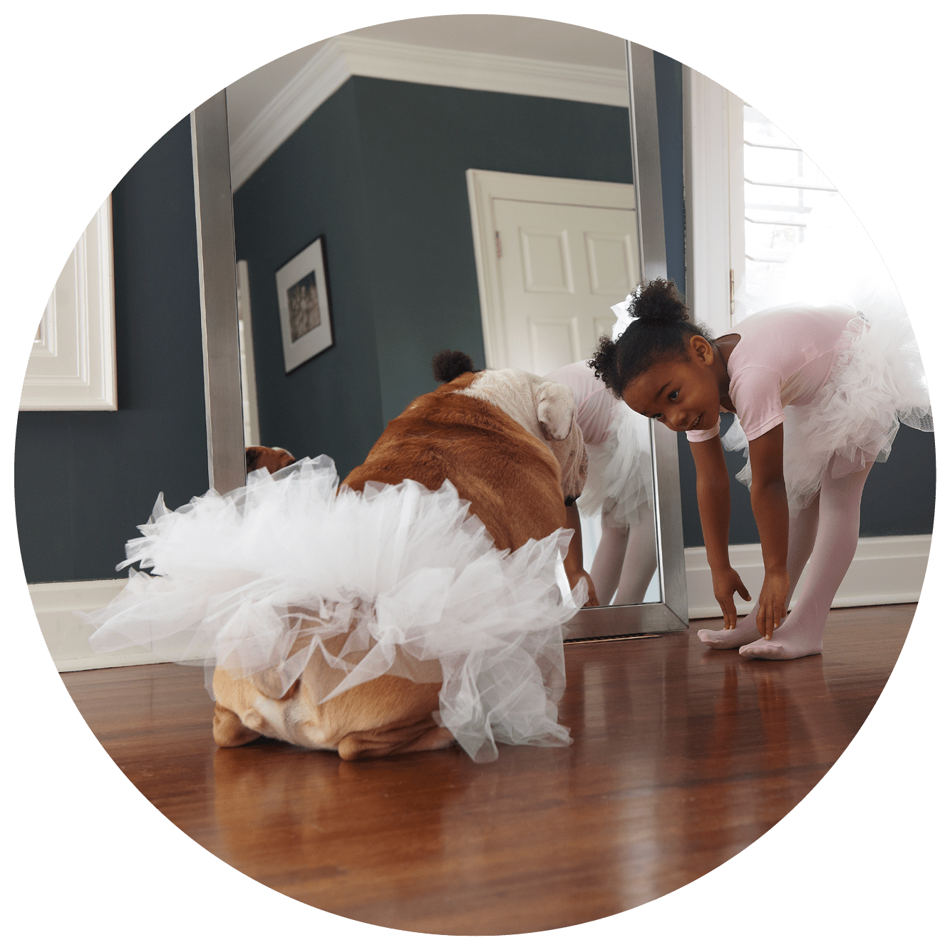 Girl in a ballerina outfit touching her toes and looking up at her dog