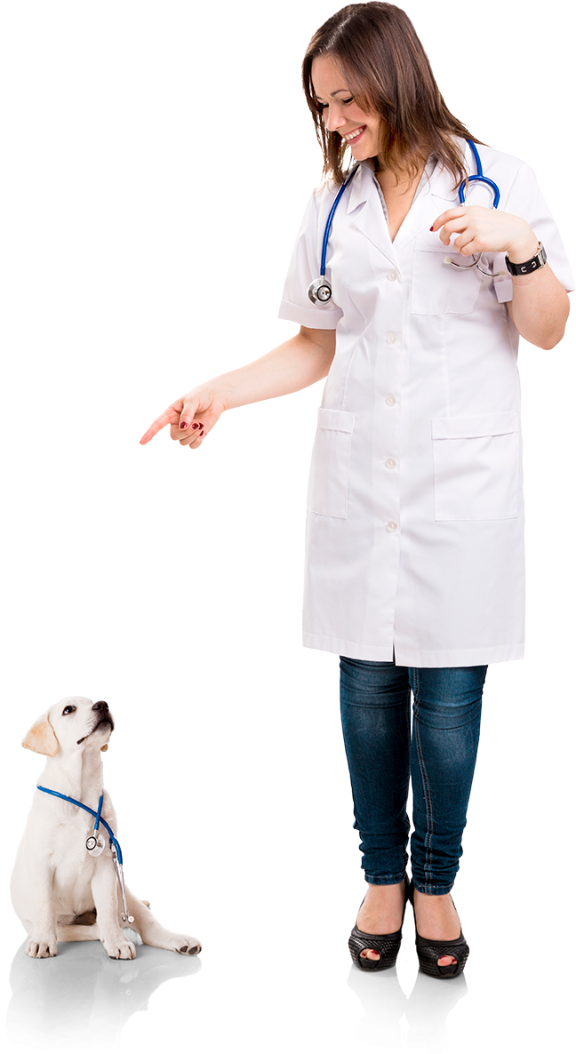 A veterinarian smiling to a puppy