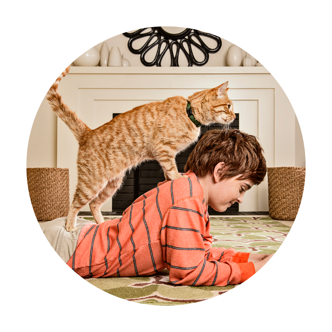 Boy lying on the floor with a red cat on his back